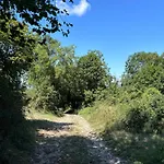 Mamienan * Bertholene