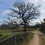 Mamienan