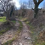 Hébergement de vacances Mamienan *
