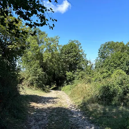Mamienan * Bertholene